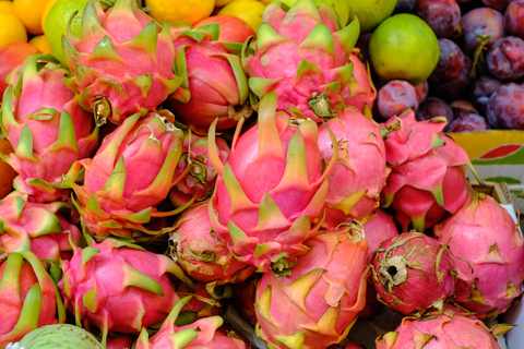 Nahaufnahme der Drachenfrucht, auch bekannt als Pitahaya, Pitaya, Strawberry Pear oder Dragon Fruit Nahaufnahme