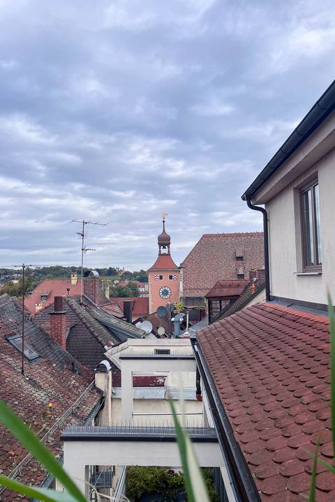 Hotel Goliath am Dom Regensburg Dachterrasse Blick