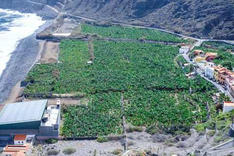 La Gomera Blick auf Bananenplantage