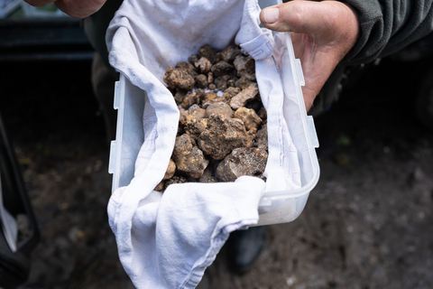 Trüffeljäger zeigt Trüffelbox